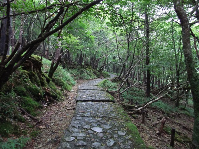 大台ヶ原