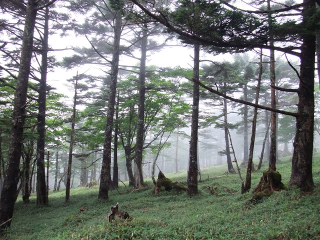 大台ヶ原