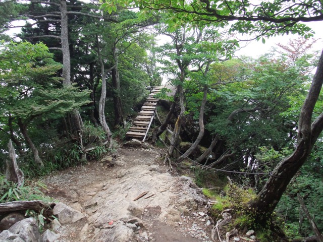 大台ヶ原