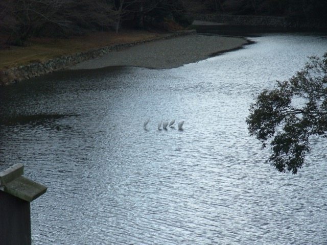 伊勢神宮