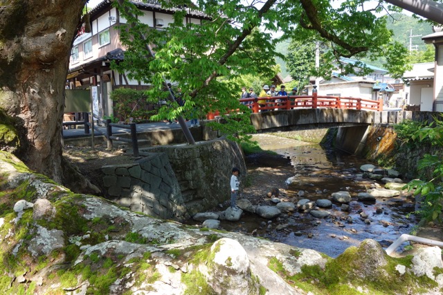 木の根橋