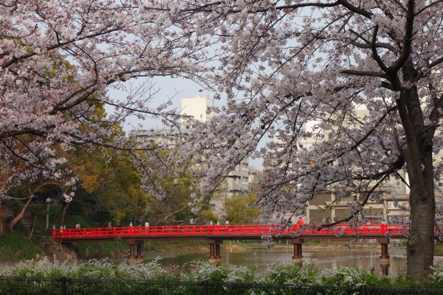 天王寺公園