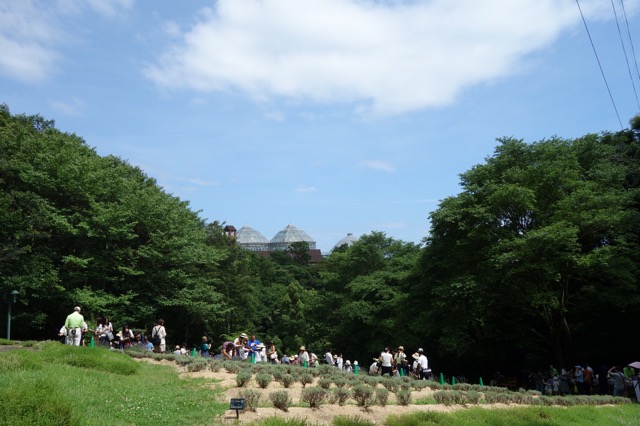 布引ハーブ園