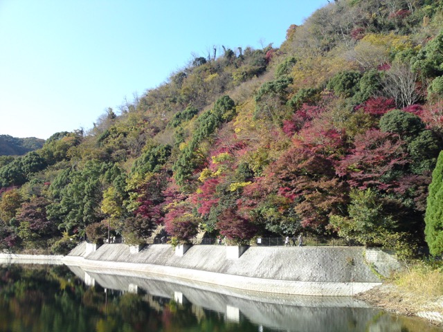 布引五本松ダム