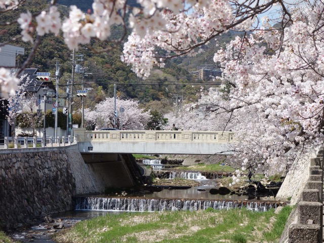 芦屋川