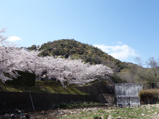 芦屋川