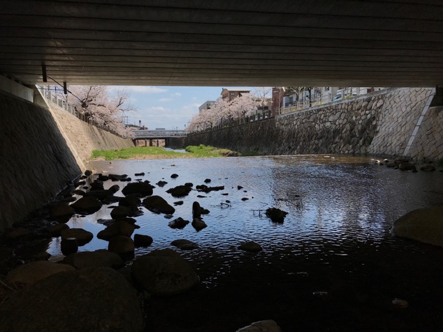 芦屋川