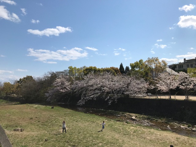 芦屋川