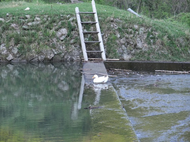 七種の滝