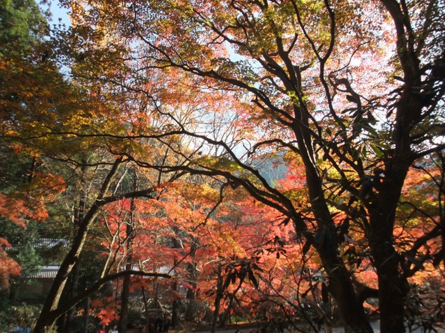 室生寺