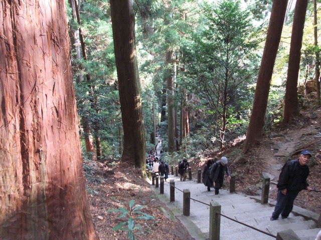 室生寺