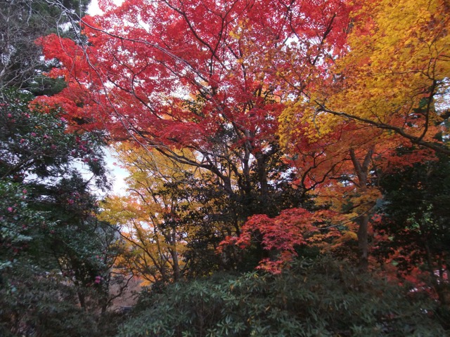 室生寺