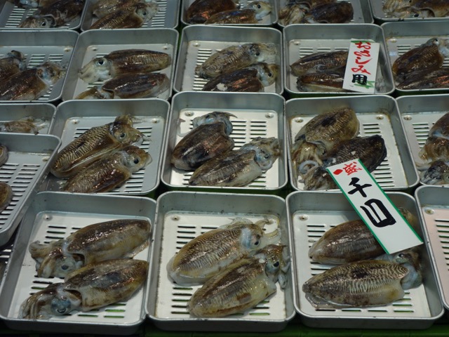 魚の棚