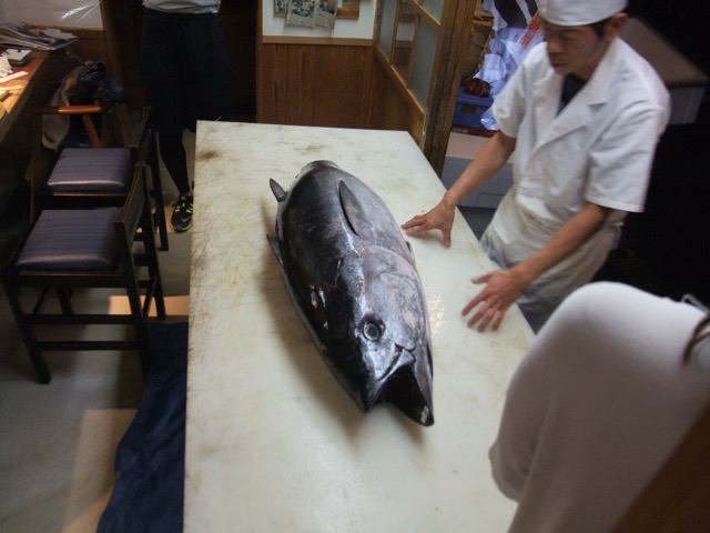 桂城・まぐろ料理