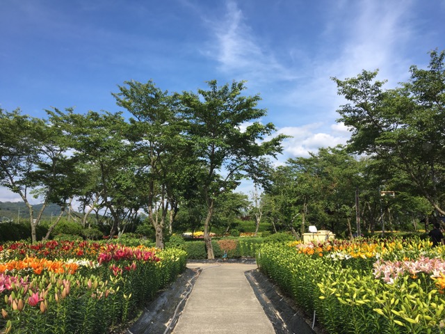 篠山玉水ゆり園