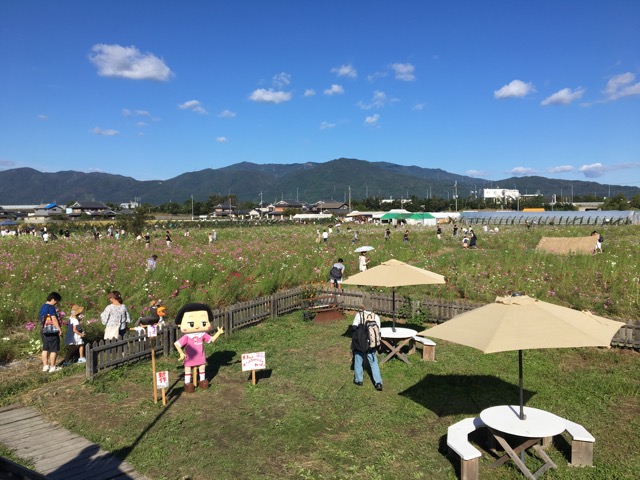 夢コスモス園