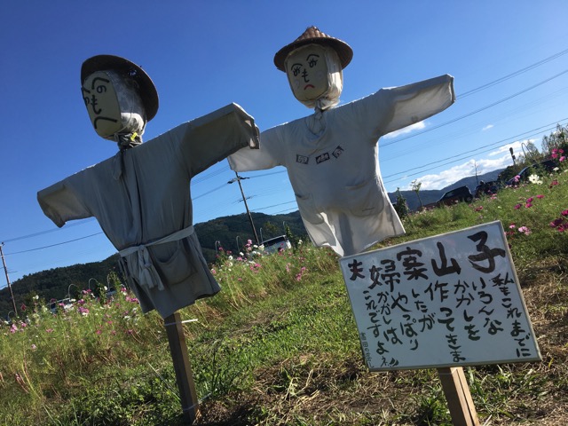 夢コスモス園