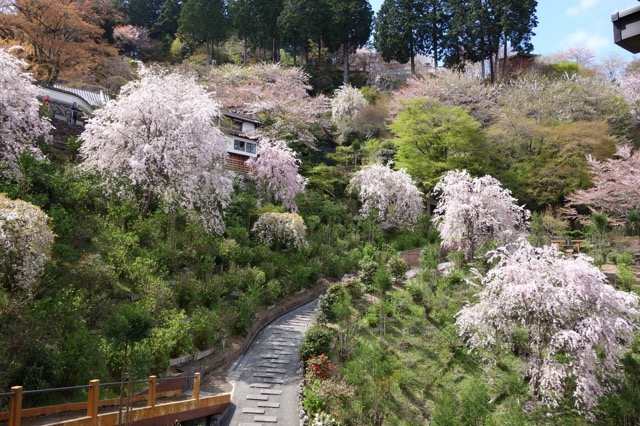 善峯寺