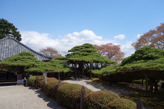 善峯寺