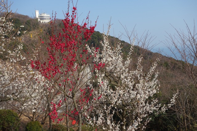 須磨浦山上遊園