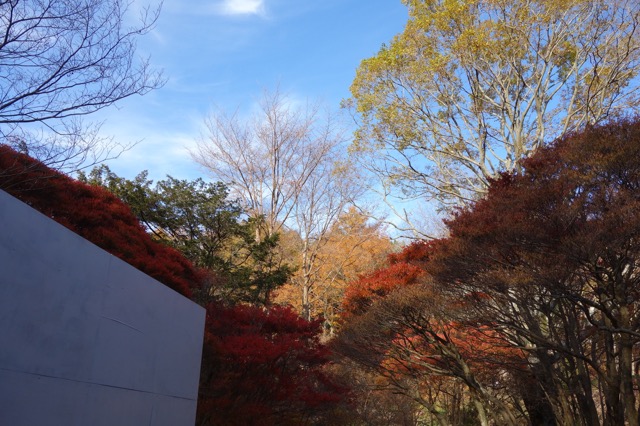 六甲高山植物園