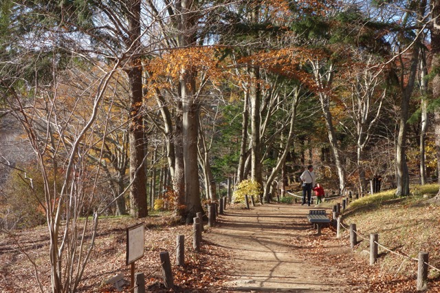 六甲高山植物園