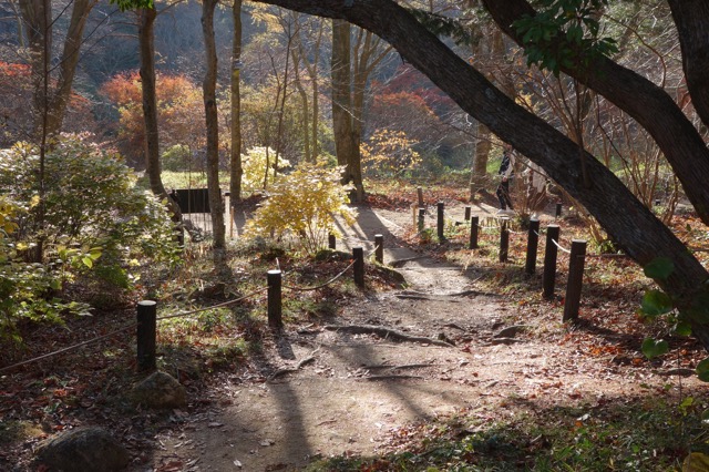 六甲高山植物園