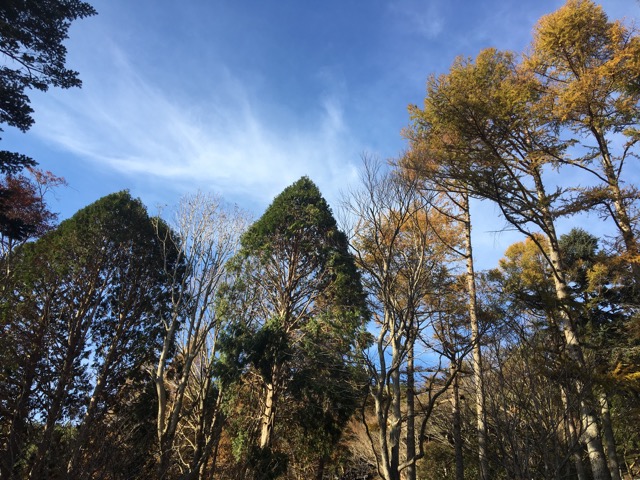 六甲高山植物園