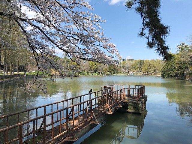 千里南公園