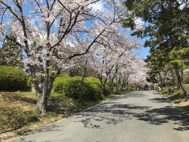 千里南公園