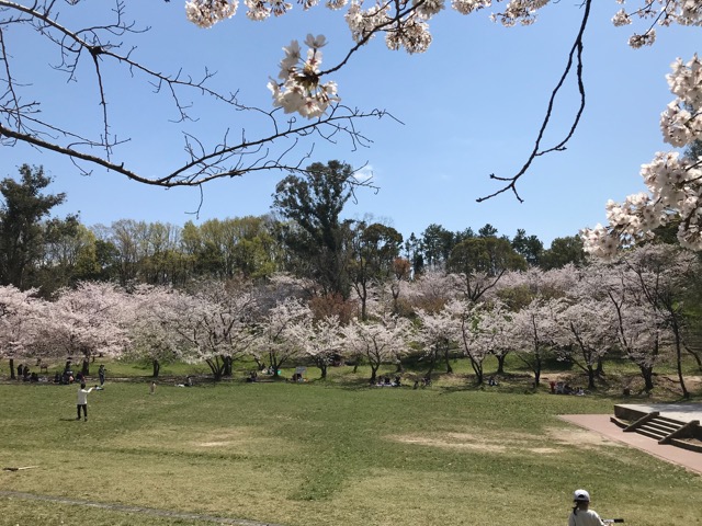 千里南公園