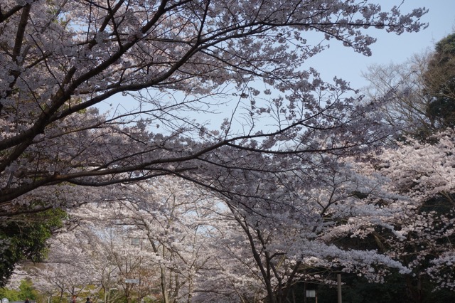 神戸総合運動公園