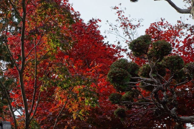 中山寺