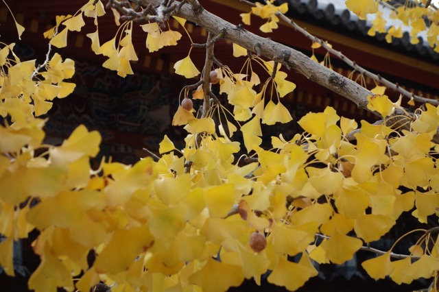 中山寺