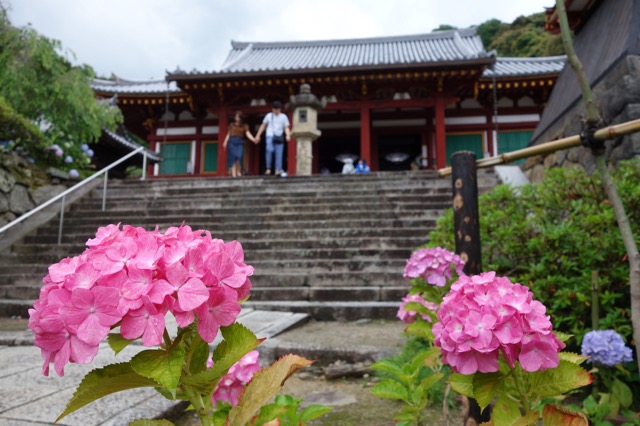 矢田寺