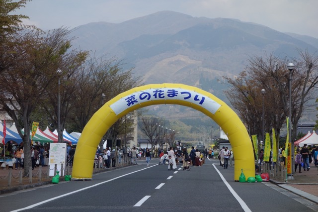 奈義町菜の花祭り