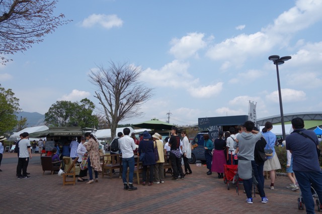 奈義町菜の花祭り