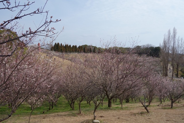 石ケ谷公園