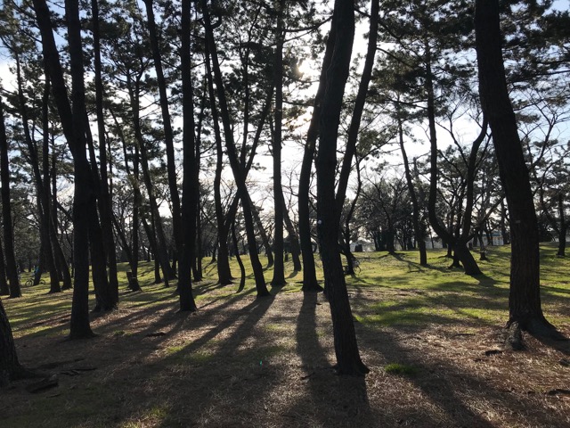 浜寺公園