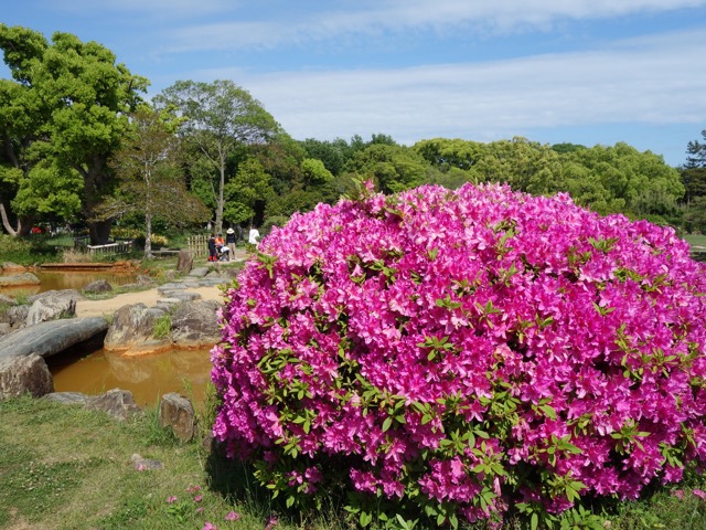 明石公園