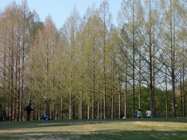 日本へそ公園