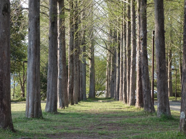 日本へそ公園