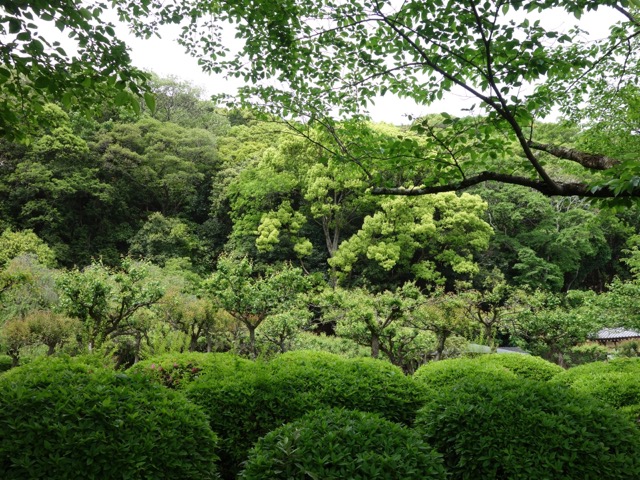 龍野城跡