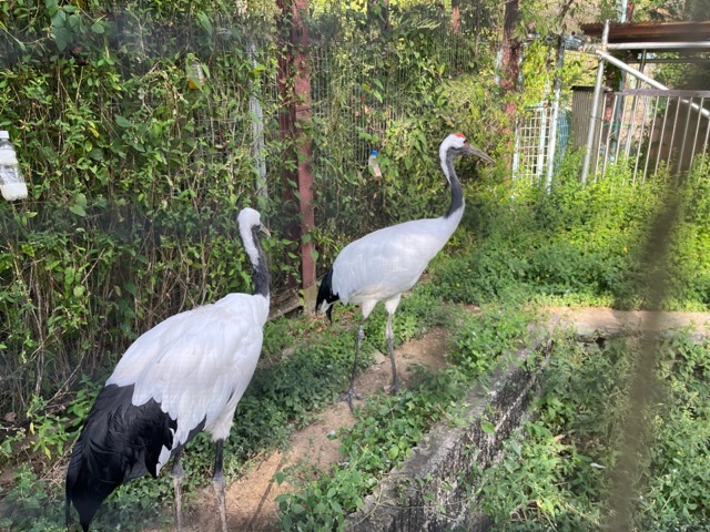 和歌山城公園動物園