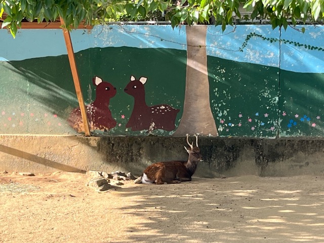 和歌山城公園動物園