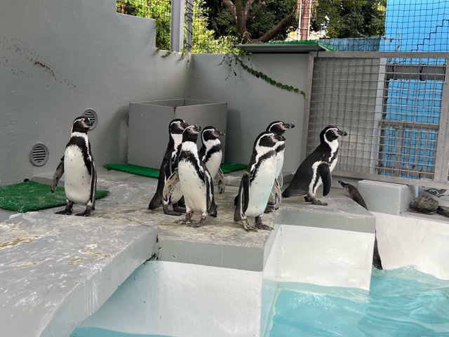 和歌山城公園動物園