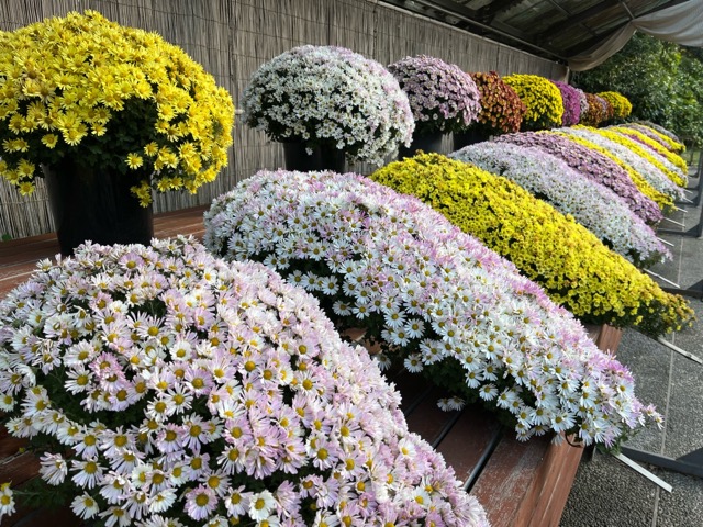 京都府立植物園