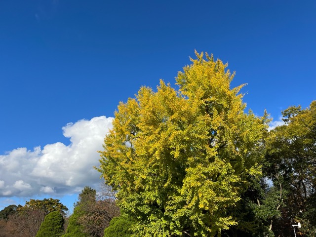 京都府立植物園