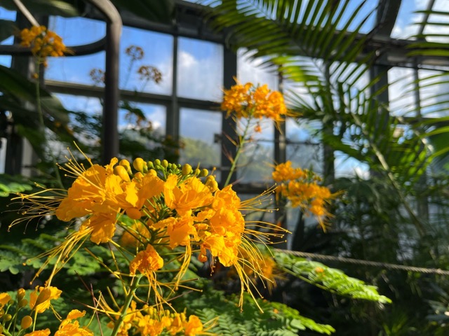 京都府立植物園