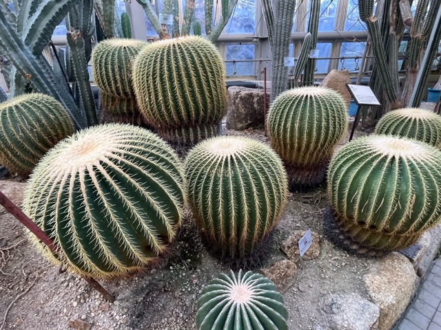 京都府立植物園